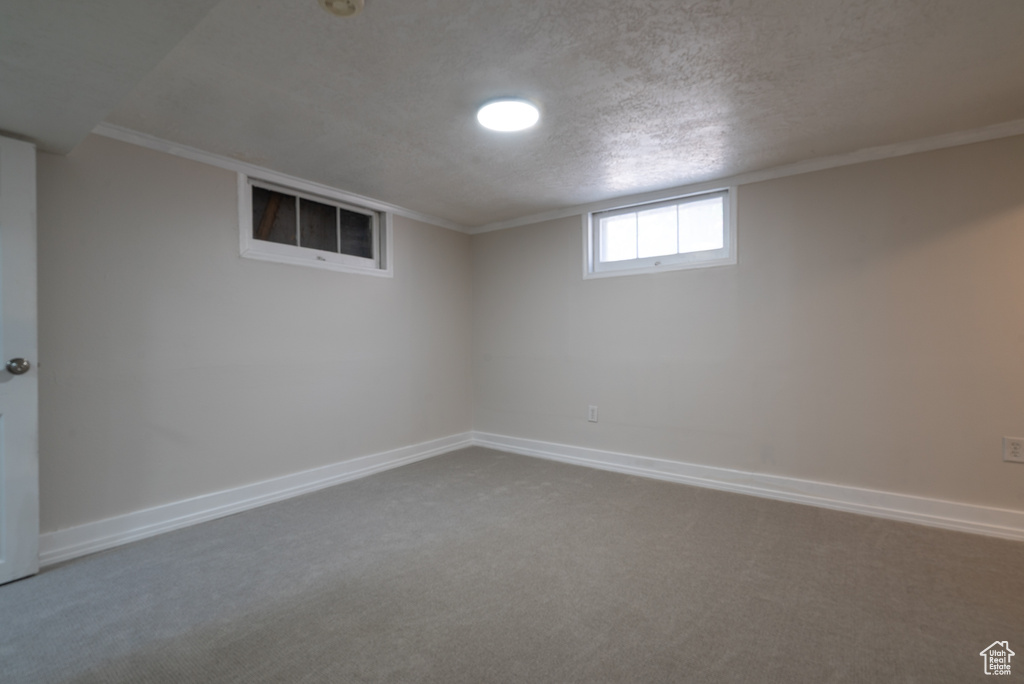 Basement with carpet, a textured ceiling, and crown molding