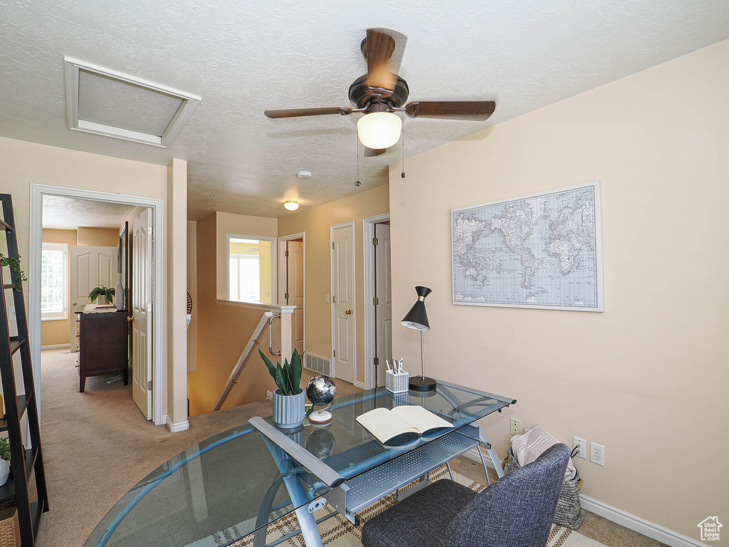 Workout area with attic access, carpet floors, a ceiling fan, and a textured ceiling