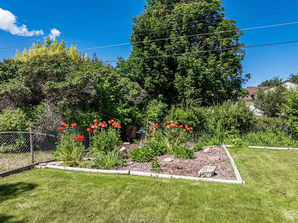 View of yard featuring a garden