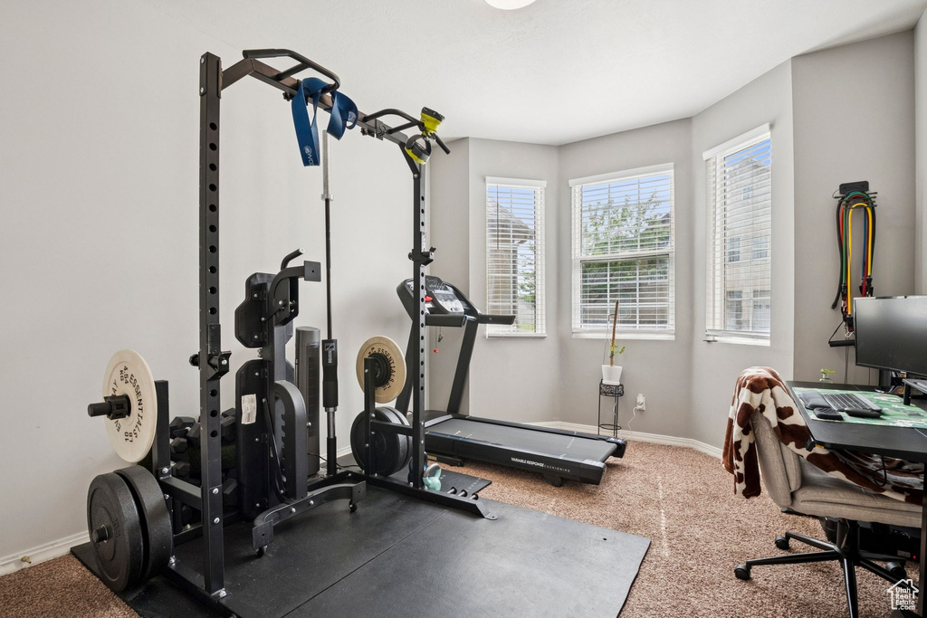 Exercise area with baseboards and carpet