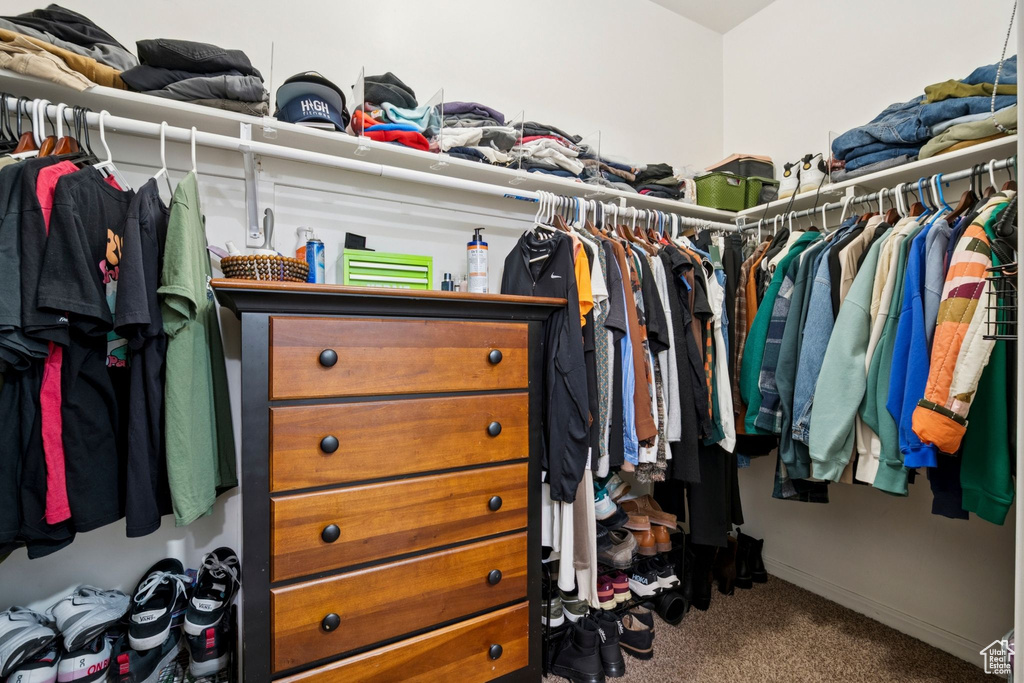 Spacious closet with carpet floors