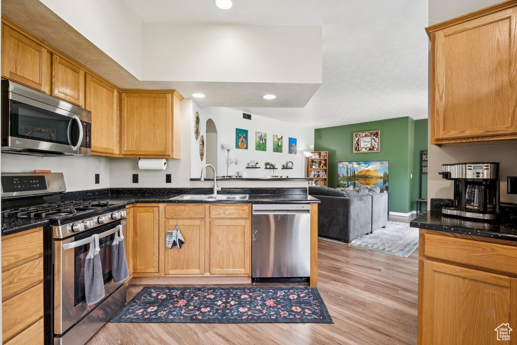 Kitchen featuring stainless steel appliances, open floor plan, light wood-type flooring, a peninsula, and recessed lighting