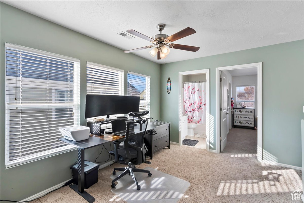 Office space featuring a ceiling fan, carpet flooring, and a textured ceiling