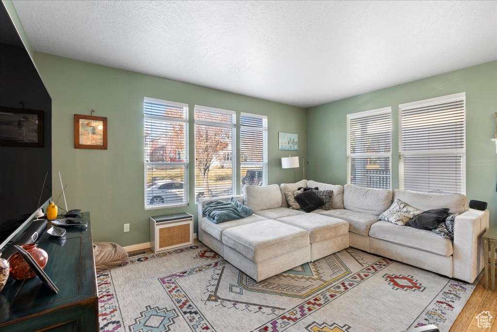 Living room featuring healthy amount of natural light and wood finished floors