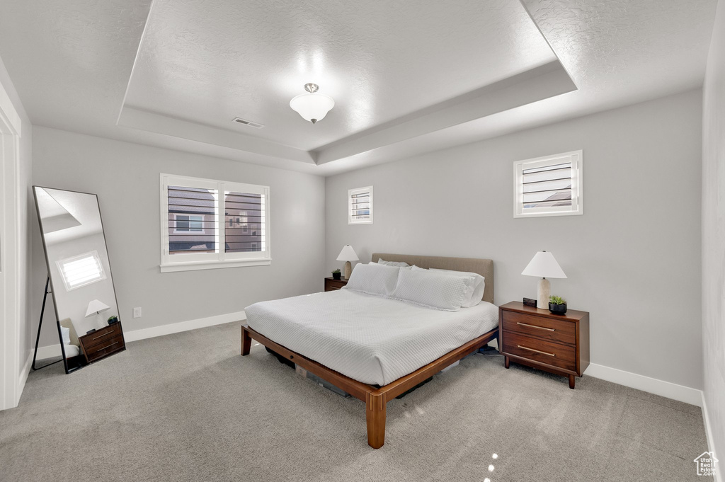 Carpeted bedroom with a tray ceiling and a textured ceiling