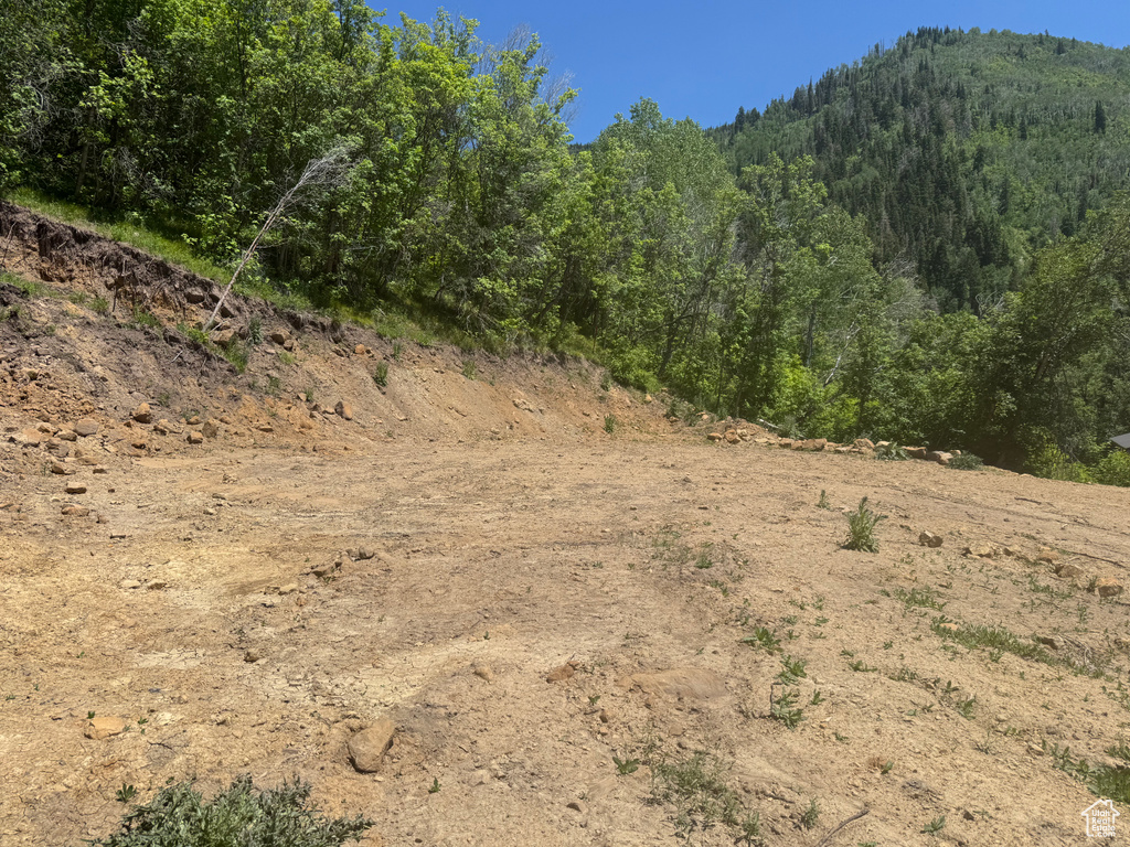 29  L BIRCH CREEK DR Fairview, UT 84629