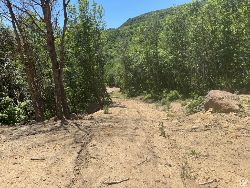 29  L BIRCH CREEK DR Fairview, UT 84629