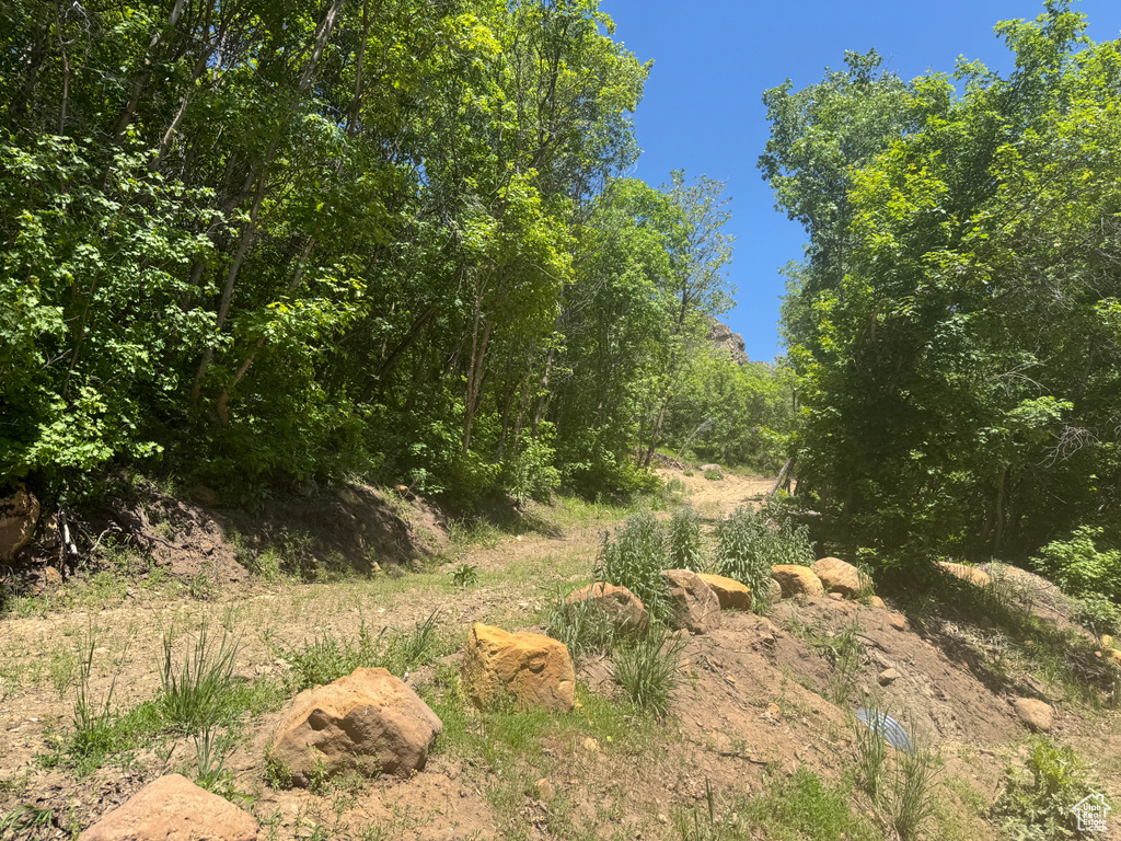 29  L BIRCH CREEK DR Fairview, UT 84629