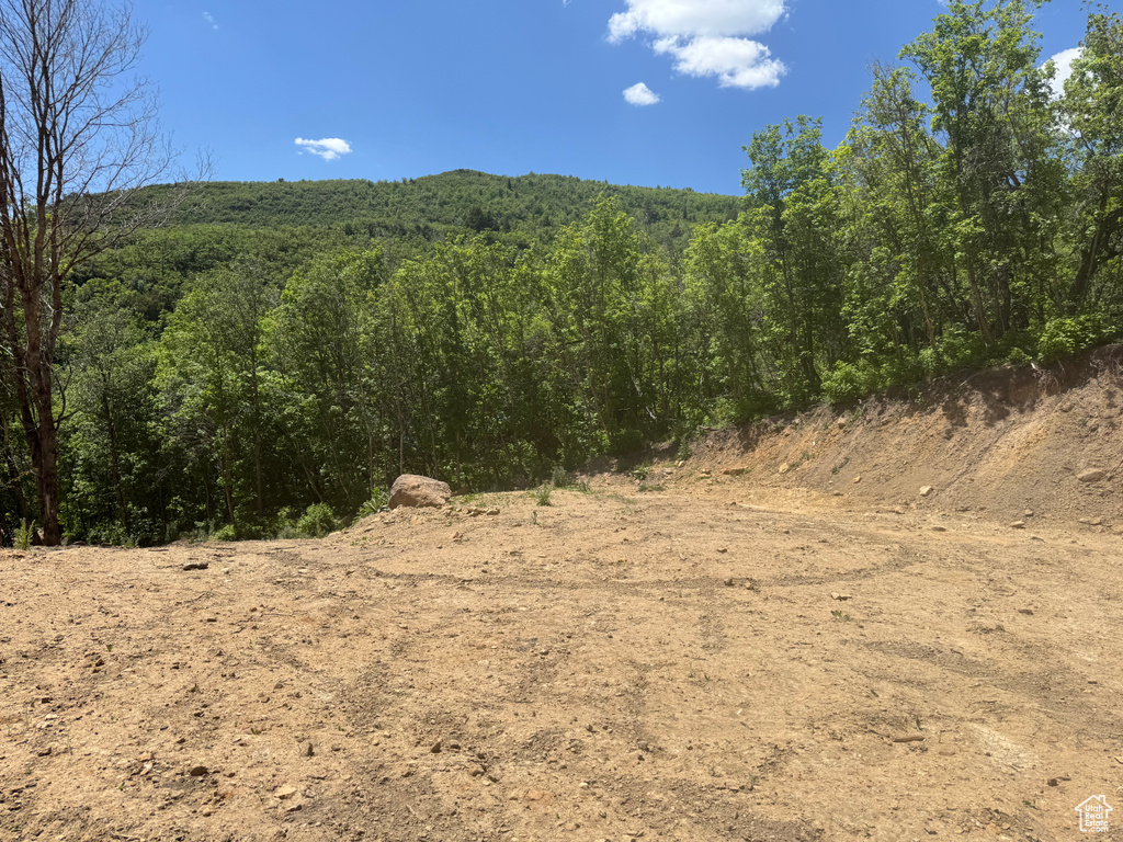 29  L BIRCH CREEK DR Fairview, UT 84629