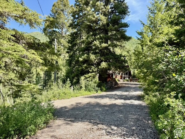 10215 E MOOSE RD #1 Brighton, UT 84121