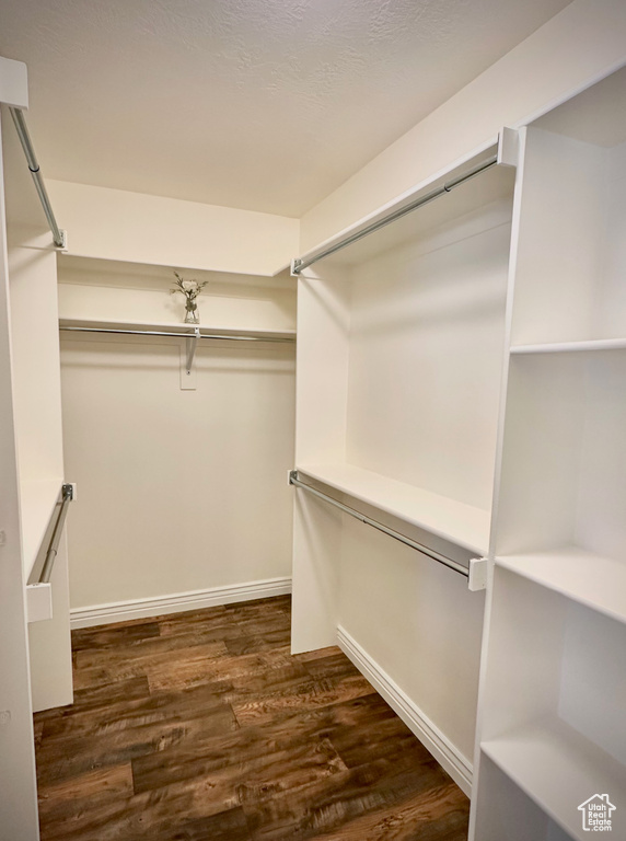 Walk in closet featuring wood finished floors