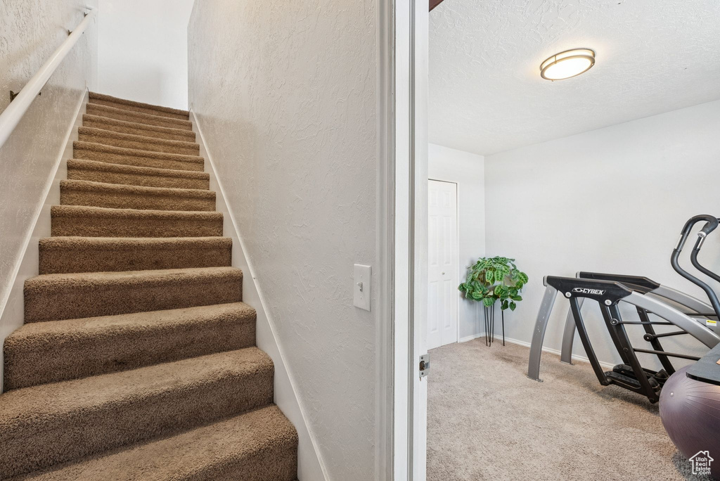 Stairway with carpet floors and a textured wall
