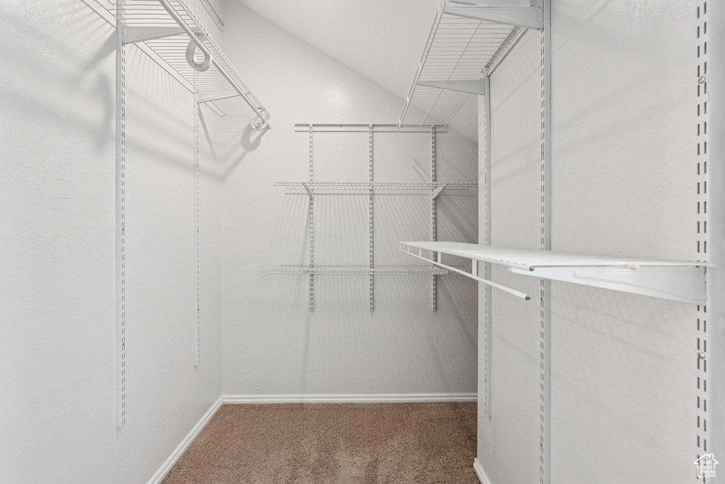 Walk in closet featuring carpet