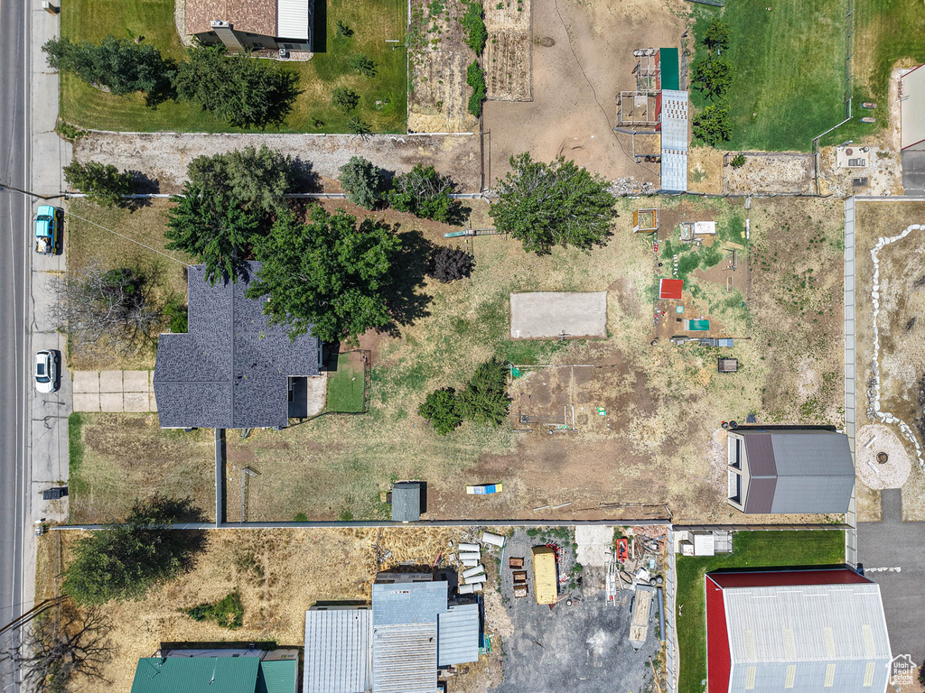 Bird\'s eye view