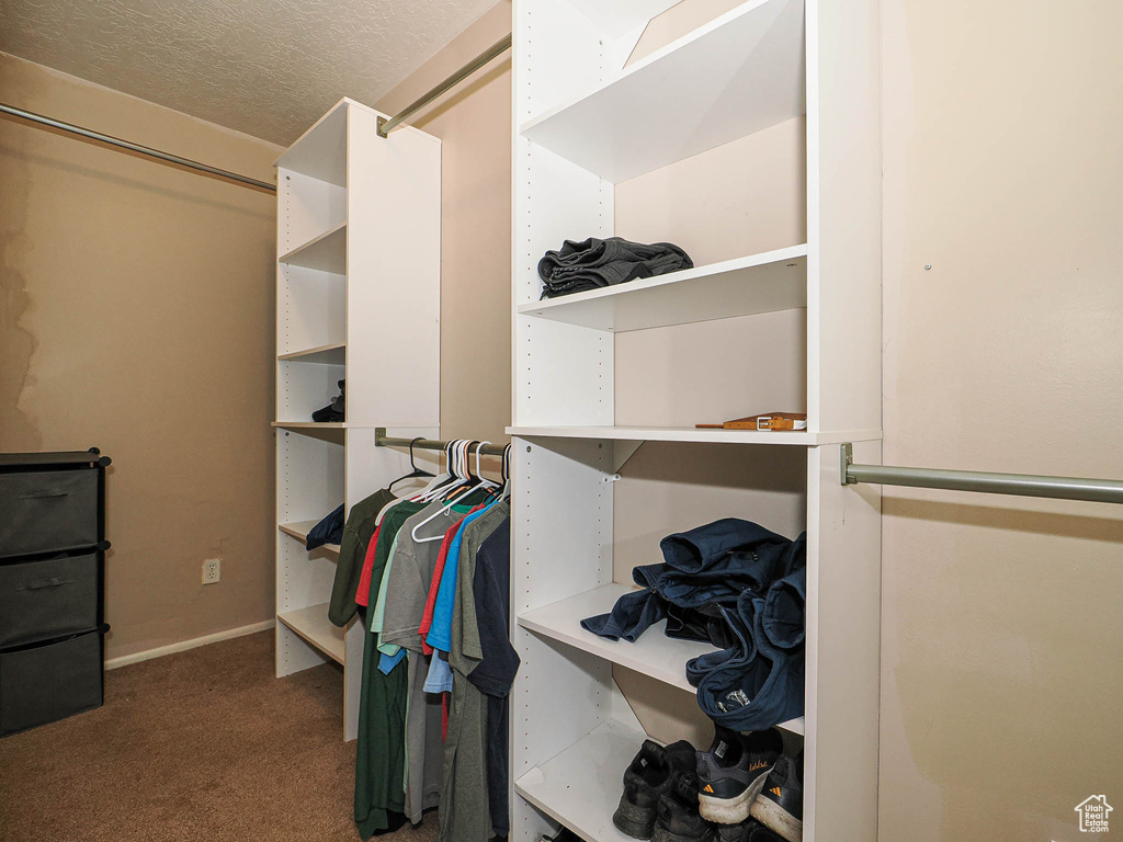 Walk in closet with carpet