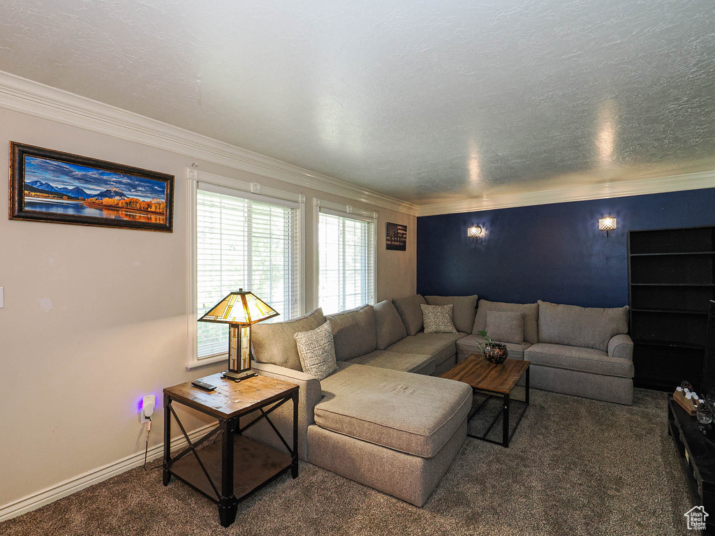 Living area featuring carpet floors and crown molding