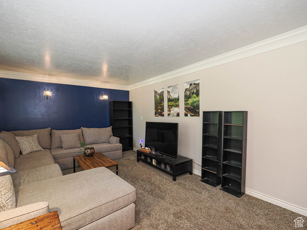 Carpeted living area with ornamental molding and a textured ceiling