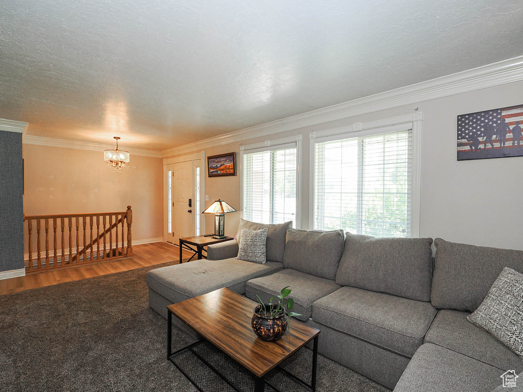 Living area with wood finished floors, ornamental molding, and a chandelier