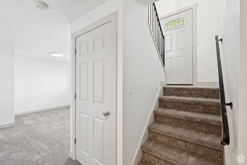Staircase with carpet flooring and baseboards