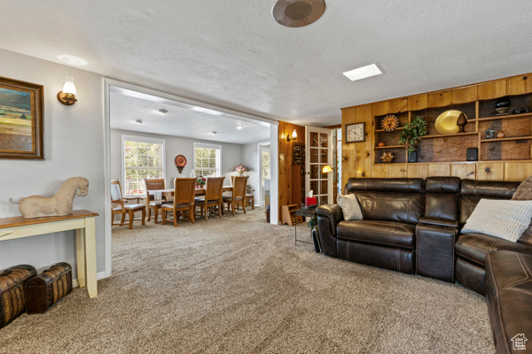 Living area with carpet and a textured ceiling