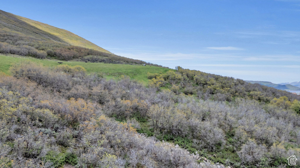 Mountain view