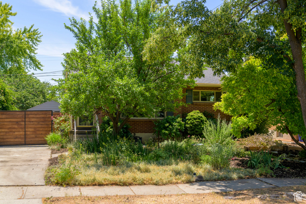 Obstructed view of property with brick siding