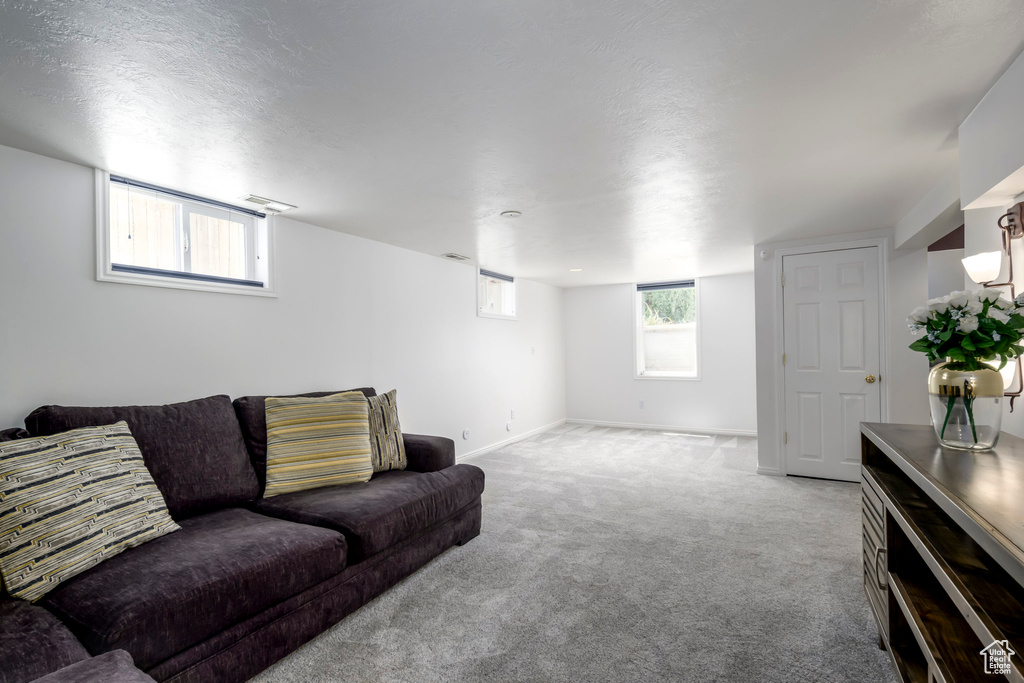 Living room featuring carpet floors and baseboards