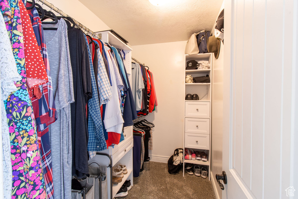 Walk in closet featuring carpet