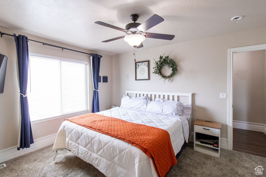 Bedroom featuring multiple windows, carpet floors, and ceiling fan