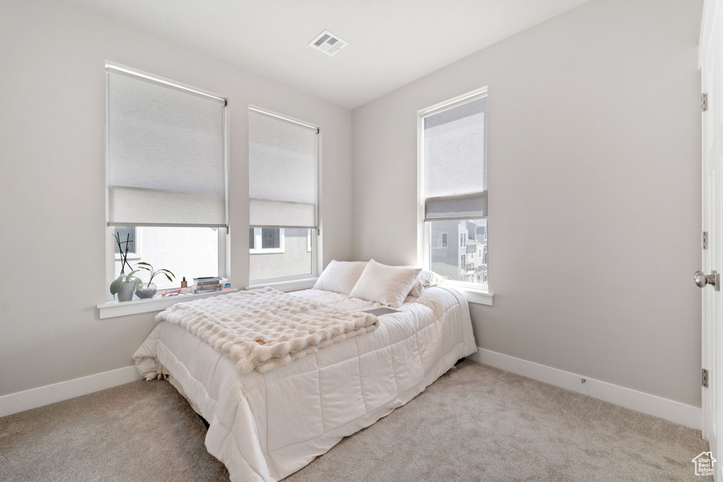 Carpeted bedroom featuring multiple windows