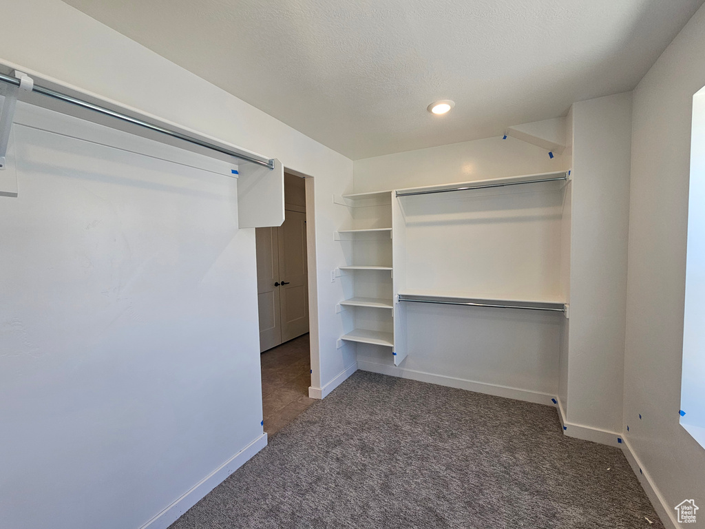 Spacious closet with carpet