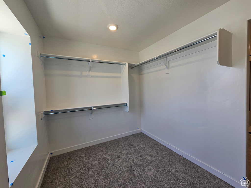 Walk in closet with carpet floors