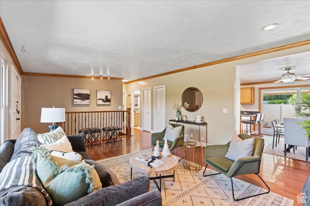Living room with wood finished floors, ceiling fan, and crown molding