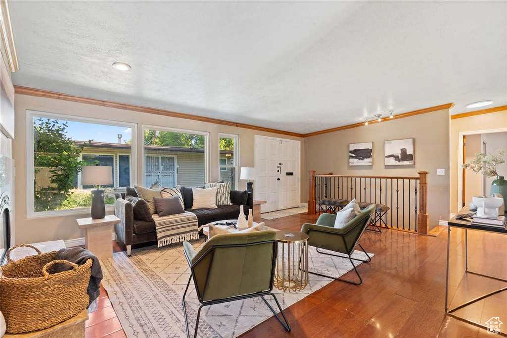 Living room featuring hardwood / wood-style flooring and ornamental molding