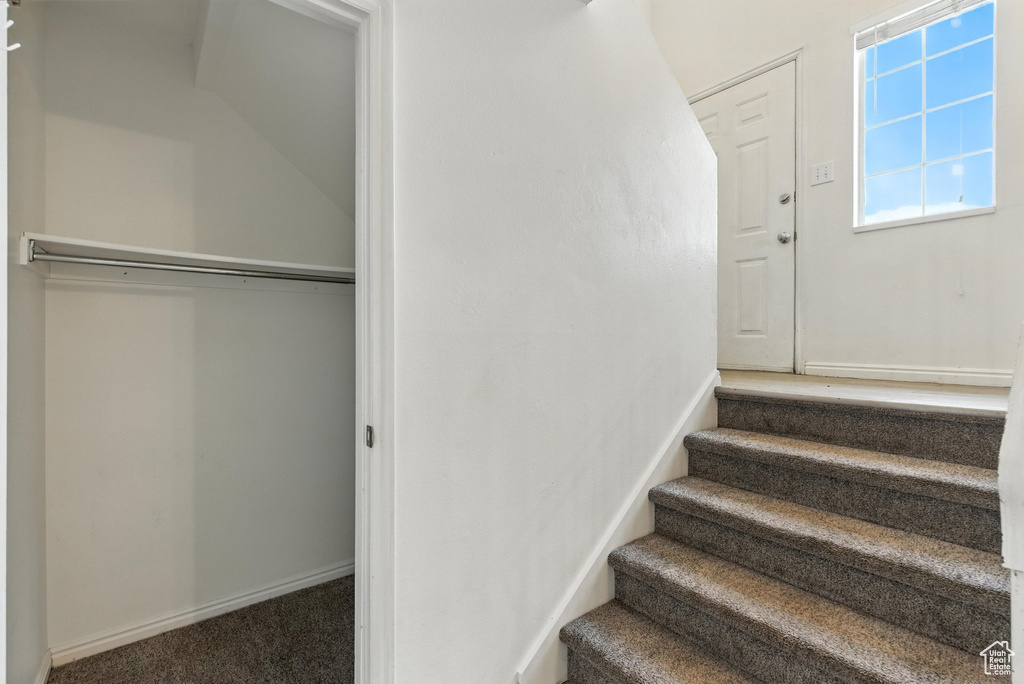 Stairway featuring baseboards and carpet flooring