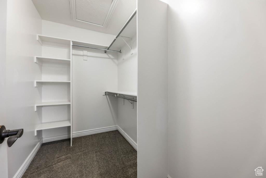 Spacious closet featuring dark carpet