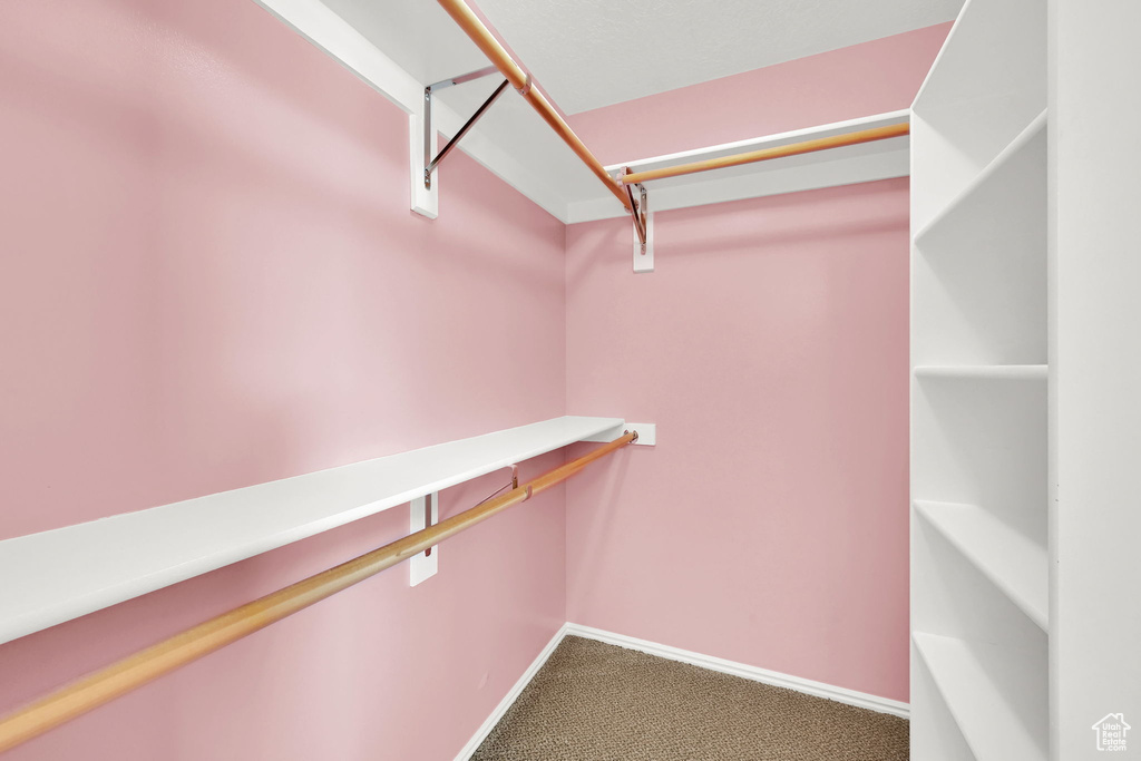 Spacious closet featuring carpet floors