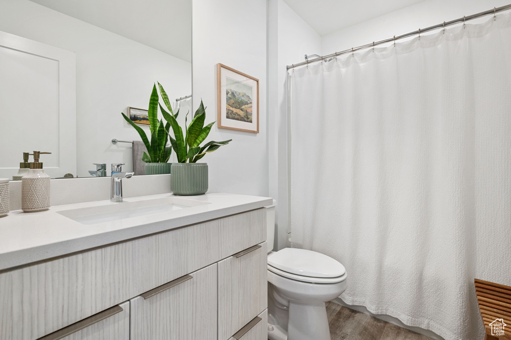 Full bathroom featuring vanity, wood finished floors, and a shower with shower curtain