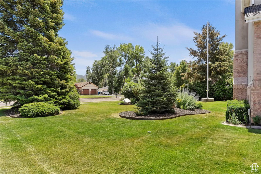 View of green lawn
