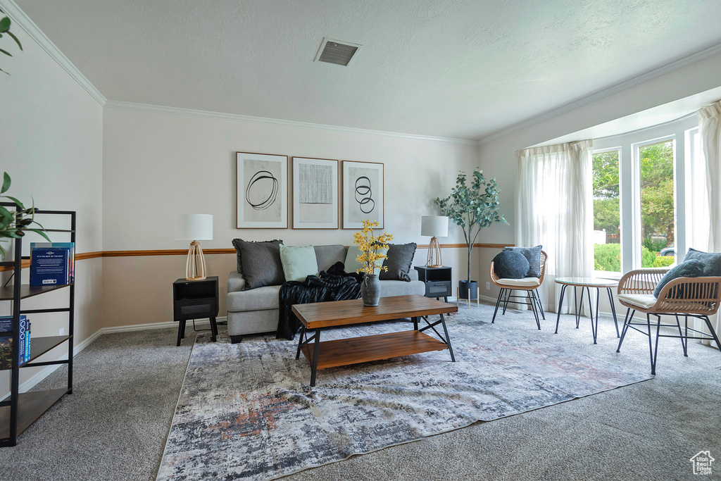 Living room featuring carpet flooring and ornamental molding