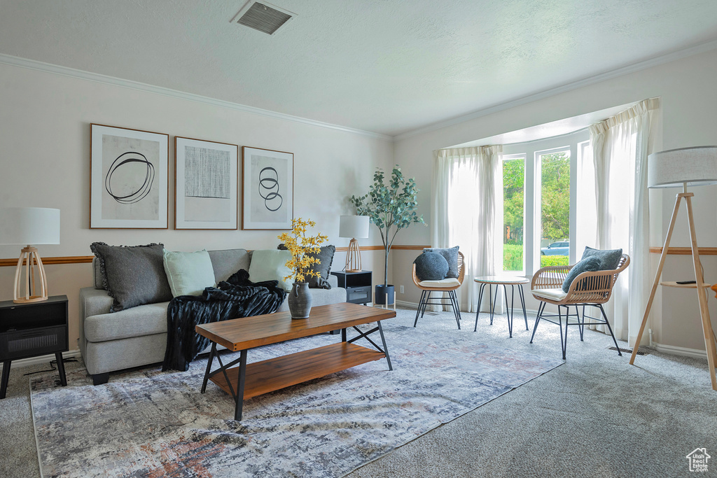 Living area with crown molding and carpet floors