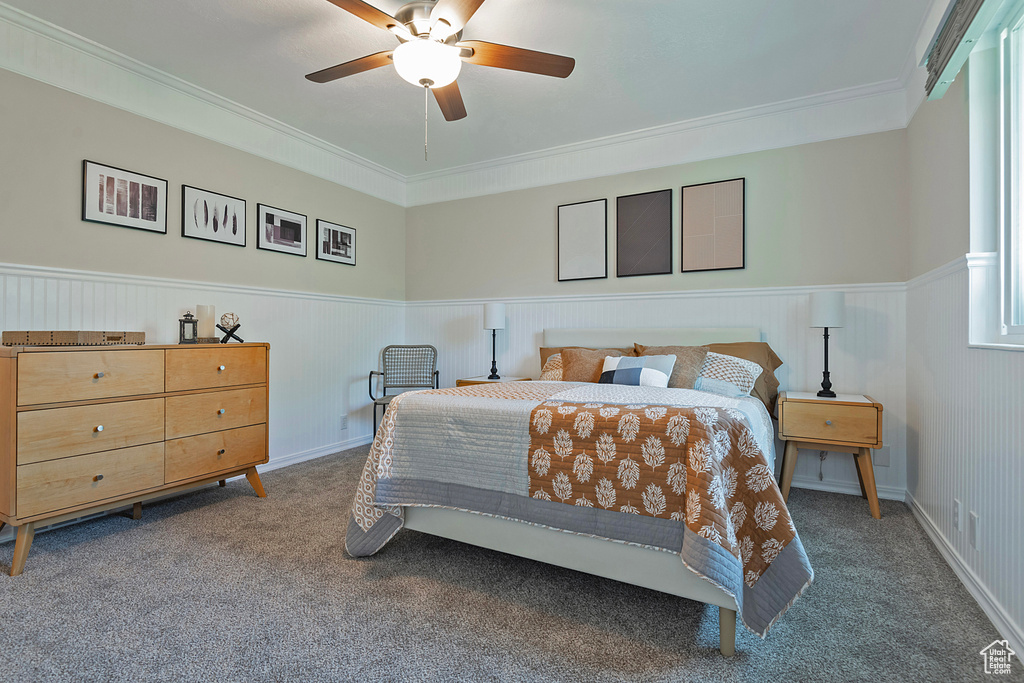 Carpeted bedroom featuring ornamental molding, a wainscoted wall, and a ceiling fan