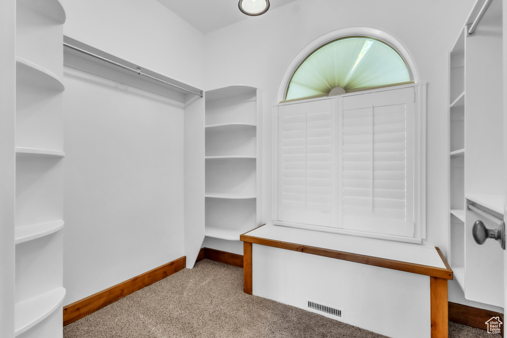 Spacious closet with carpet flooring