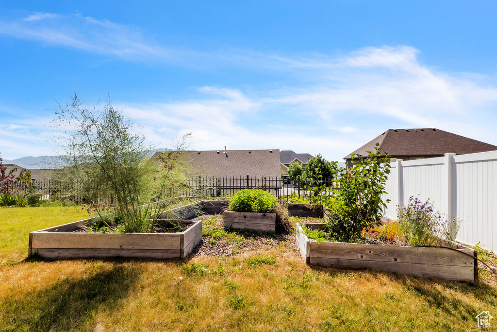 View of yard with a vegetable garden