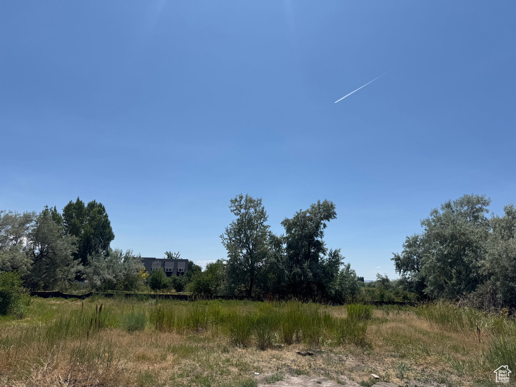 View of local wilderness