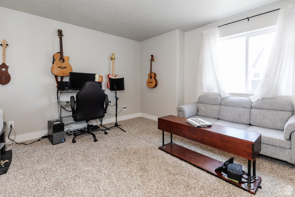 Home office featuring healthy amount of natural light and carpet