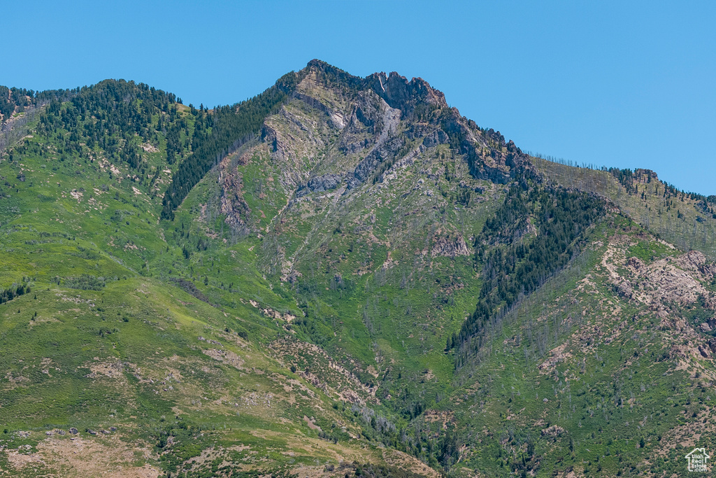 1131 E FOX MEADOW LN Alpine, UT 84004
