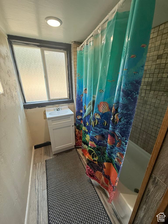 Bathroom featuring a shower with curtain, wood finished floors, and vanity