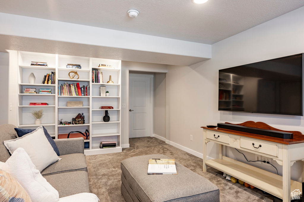 Carpeted living area with baseboards