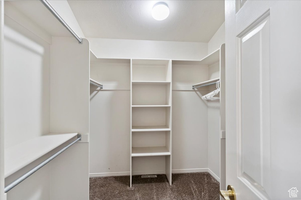 Spacious closet featuring carpet floors